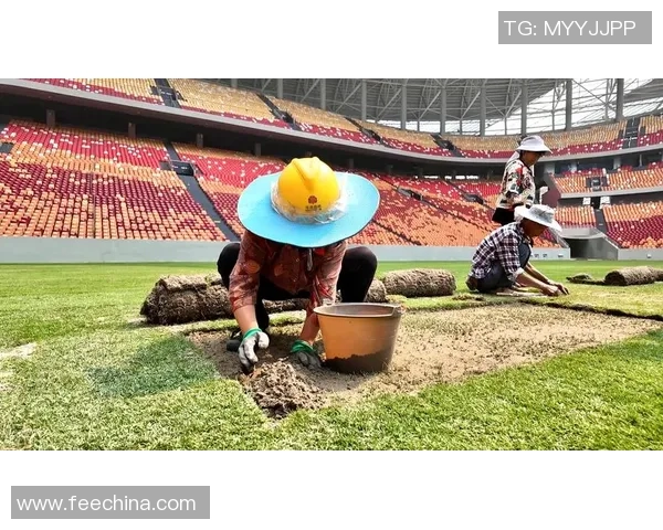 重庆力帆足球队奋勇拼搏展现团结精神力争新赛季佳绩