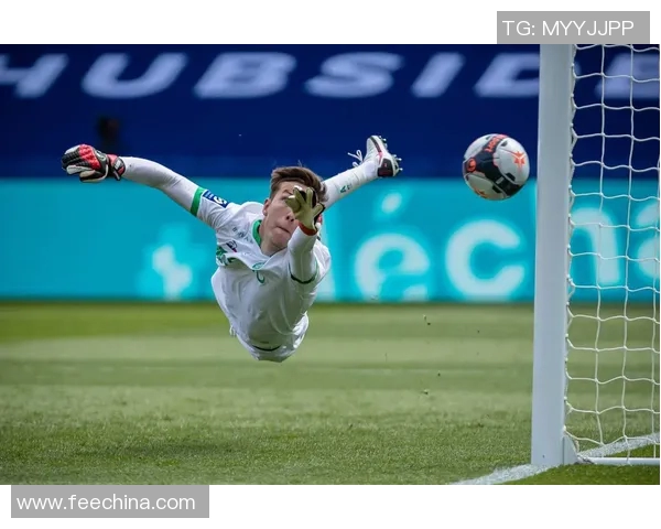 法甲足球的魅力与挑战解析以及未来发展趋势展望